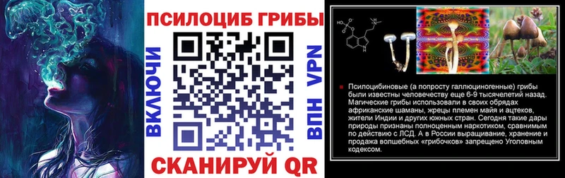 купить наркотик  Фокино  Галлюциногенные грибы прущие грибы 
